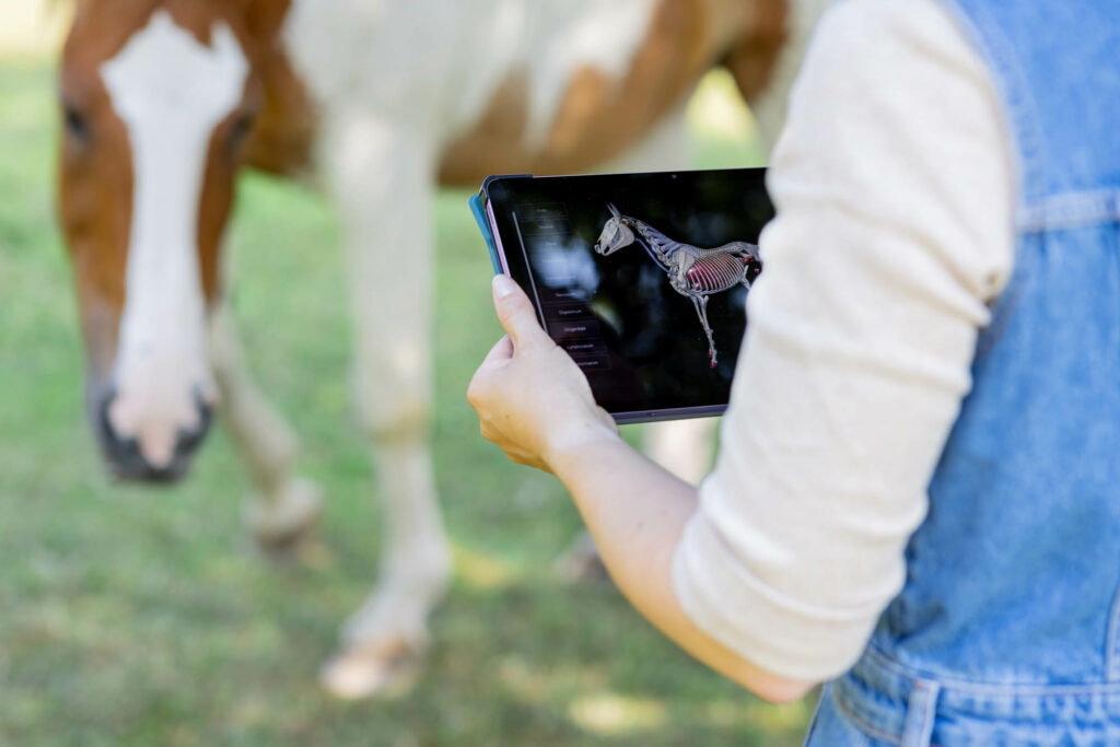 Auf einem Tablet ist ein Pferd abgebildet. Im Hintergrund steht ein Schecke.