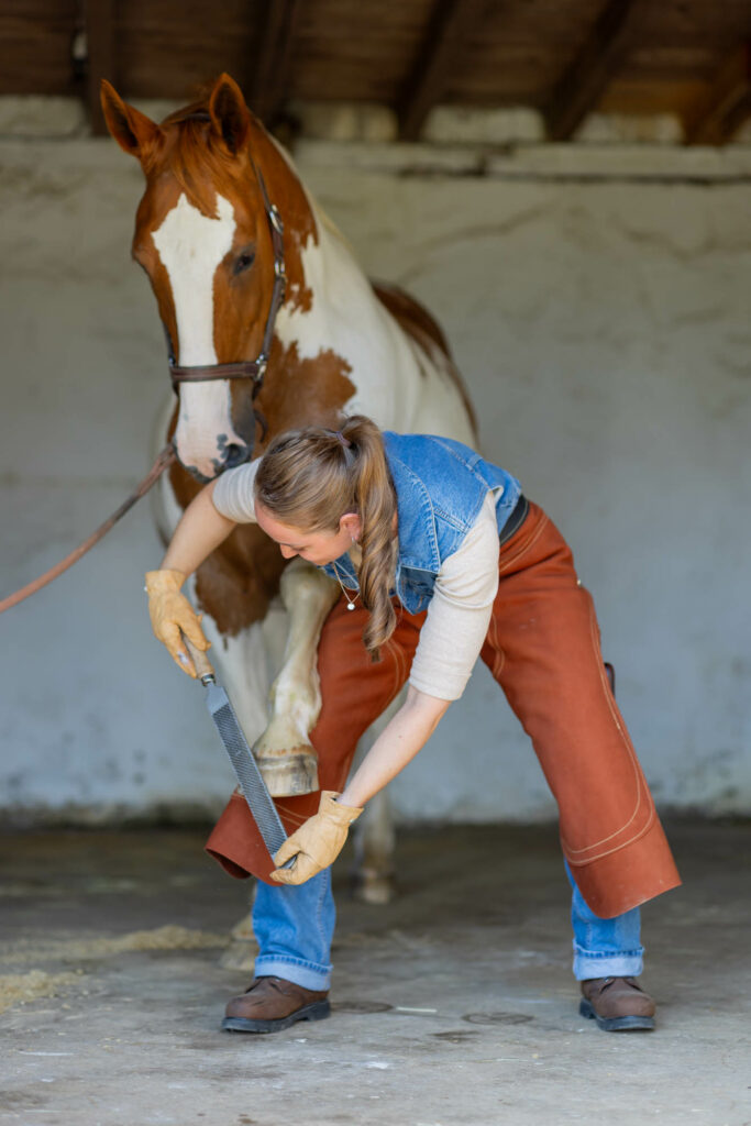 Frau behandelt ein Pferd am Huf.